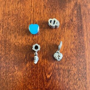 Pandora charms